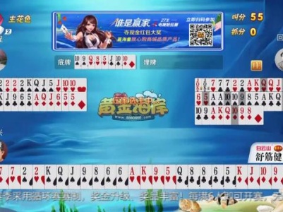 谁是赢家20230815