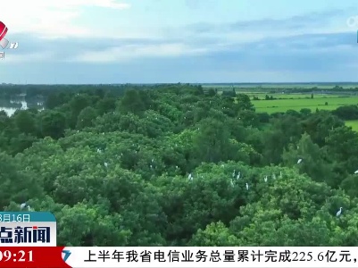 保护生态 人鸟和谐共生