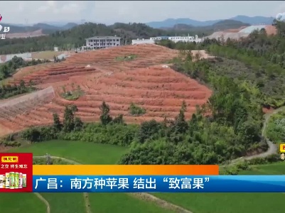 广昌：南方种苹果 结出“致富果”