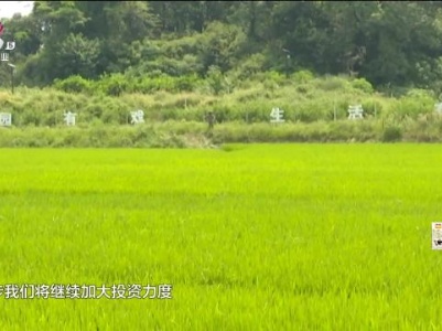 新闻晚高峰20230820