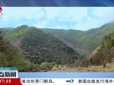 整点新闻20230820 10:00