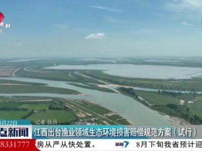 整点新闻20230822 16:00