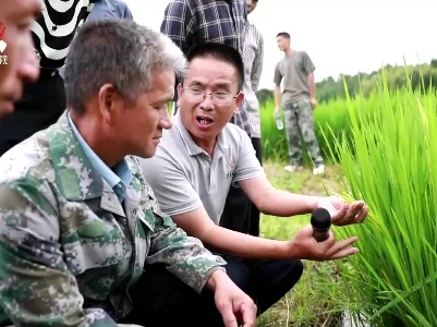 江西：强化平台基地建设 提升水稻育种能力