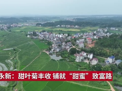 吉安永新：甜叶菊丰收 铺就“甜蜜”致富路