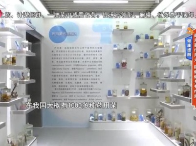 健康提醒——药用菌作用大 防病健身有疗效