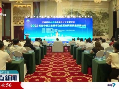 2023长江中游三省青年企业家协同高质量发展论坛举行