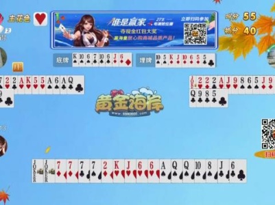 谁是赢家20230903