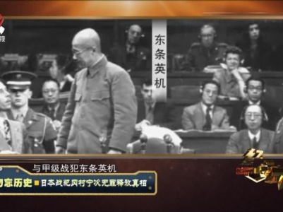经典传奇20230918 勿忘历史·日本战犯冈村宁次无罪释放真相