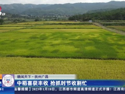 都市现场·午间版20230928