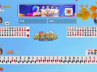 谁是赢家20230911