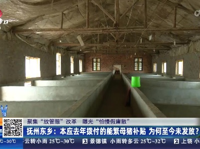 【聚焦“放管服”改革 曝光“怕慢假庸散”】抚州东乡：本应去年拨付的能繁母猪补贴 为何至今未发放？