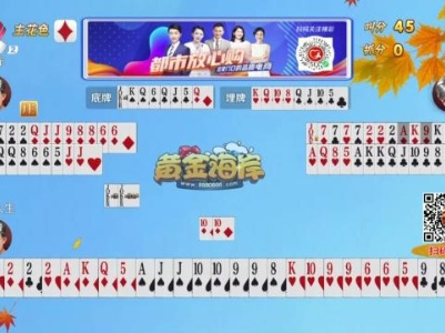 谁是赢家20230907