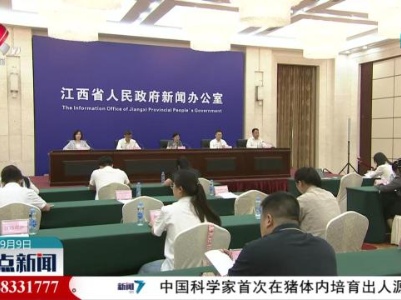 整点新闻20230909 12:00