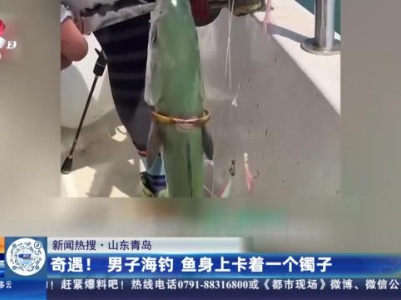 【新闻热搜】山东青岛：奇遇！ 男子海钓 鱼身上卡着一个镯子