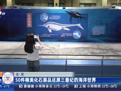 北京：50件精美化石展品还原三叠纪的海洋世界