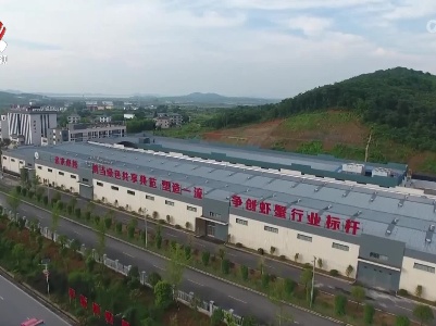 【贯彻落实省委全会精神·省直单位党委书记访谈】省农业农村厅：产能提升仓廪实 “外引内培”产业兴