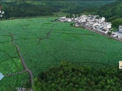 抚州：邮政“919电商节” 助力农产品销售