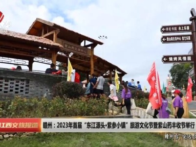 赣州：2023年首届“东江源头·紫参小镇”旅游文化节暨紫山药丰收节举行