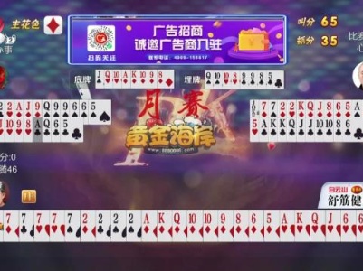 谁是赢家20230927