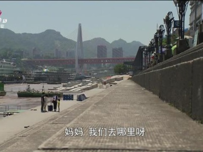 乡村栏目剧场20230912 芒种