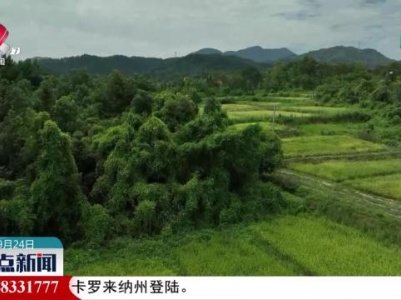 整点新闻20230924 12：00