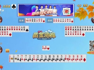 谁是赢家20230915