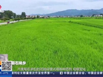【2023江西省最美家庭】九江修水：卢美菊家庭：从“会种田”到“慧种田”