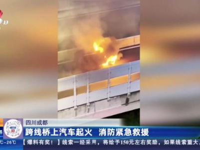 四川成都：跨线桥上汽车起火 消防紧急救援