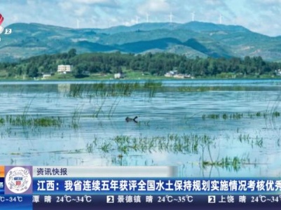 都市现场·午间版20230909
