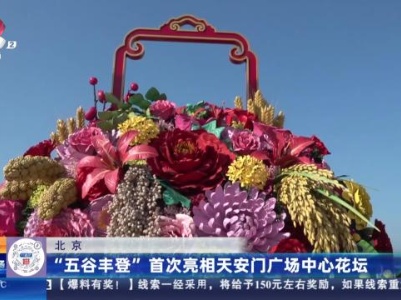 北京：“五谷丰登”首次亮相天安门广场中心花坛