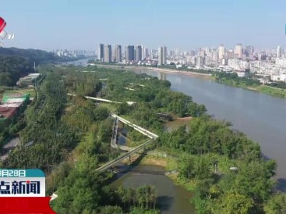 绿色出行助力低碳生活