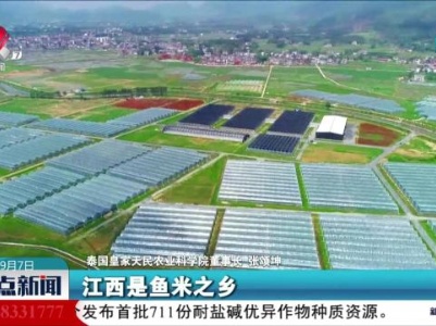 整点新闻20230907 16：00
