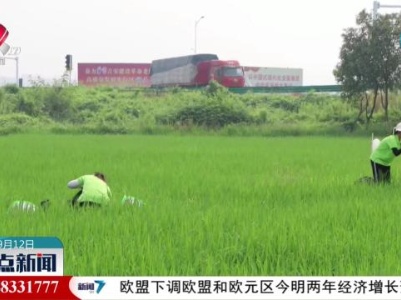 整点新闻20230912 12:00