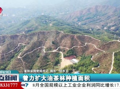 整点新闻20230928 10:00