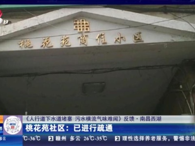 【《人行道下水道堵塞 污水横流气味难闻》反馈·南昌西湖】桃花苑社区：已进行疏通