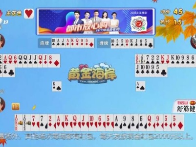 谁是赢家20230908
