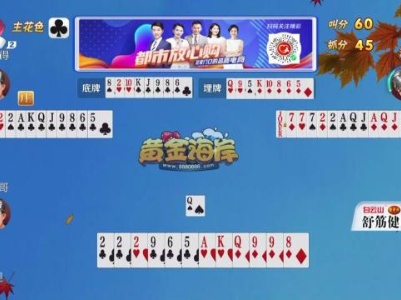 谁是赢家20230920