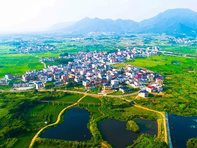 【地评线】江右时评：第二批主题教育要做到接力和发力并行
