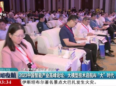 2023中国智能产业高峰论坛：大模型技术启航AI“大”时代