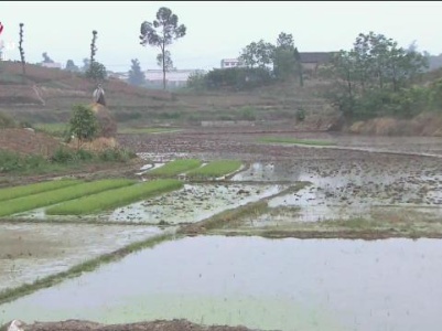 乡村栏目剧场20230918 长兄如父