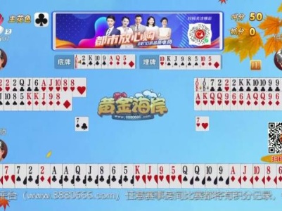 谁是赢家20230917
