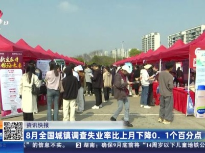 8月全国城镇调查失业率比上月下降0.1个百分点