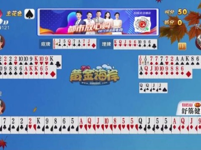 谁是赢家20230923