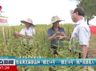 我省芝麻新品种“赣芝14号”“赣芝18号”测产成绩喜人