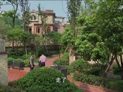 乡村栏目剧场20230831 情败双生花