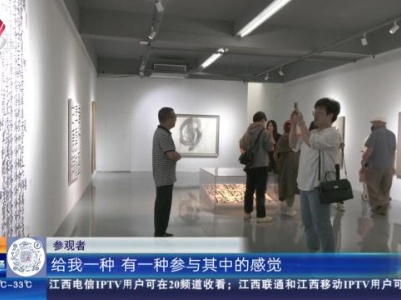 【家有收藏】南昌：和艺术作品亲密接触 新时代的观展模式