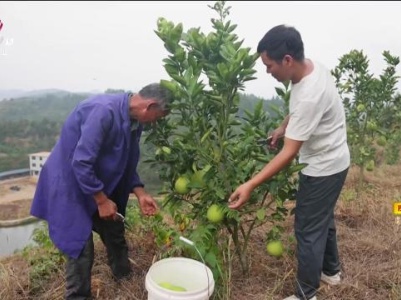 新闻晚高峰20230929