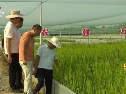 新闻晚高峰20230904