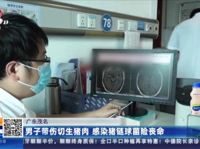 广东茂名：男子带伤切生猪肉 感染猪链球菌险丧命