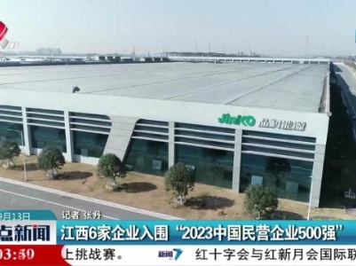 江西6家企业入围“2023中国民营企业500强”